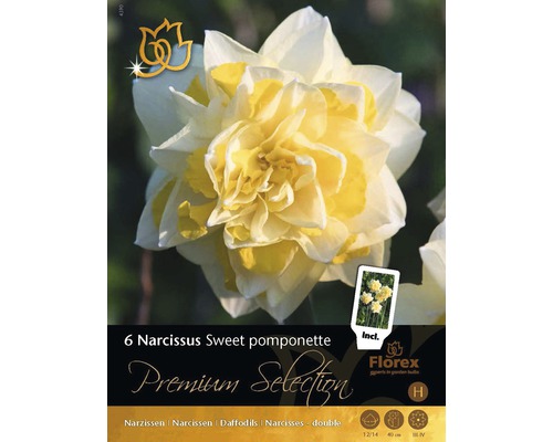 Bulbi narcise Premium Sweet Pompon 6 buc.