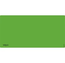 Carton de probă nuanță verde deschis