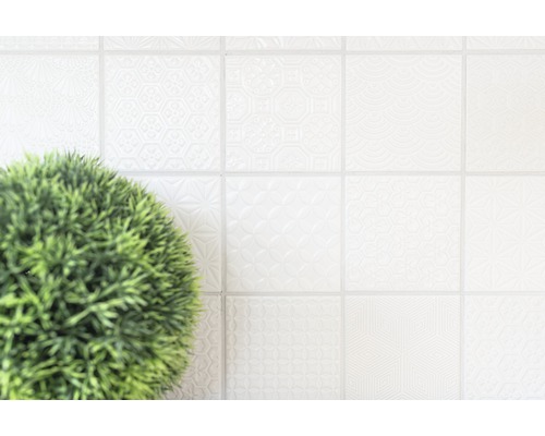 Faianță deschisă la culoare cu model și plantă la ghiveci