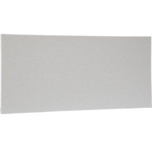 Panou radiant infraroșu Vitalheizung Victory HVH 450 59,2x89,2 cm 450 Watt