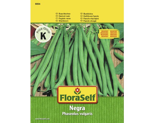 FloraSelf semințe de fasole oloagă "Negra"