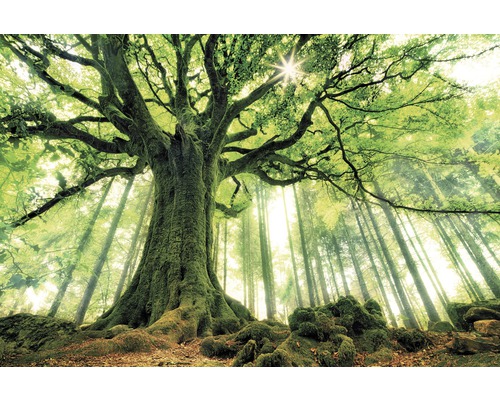 Tablou canvas Green Giant 100x150 cm Tablou canvas Green Giant 100x150 cm