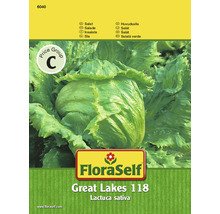 FloraSelf semințe de salată verde "Grandes Lago"-thumb-0