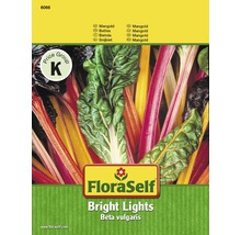 FloraSelf semințe Mangold-thumb-0