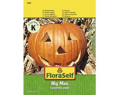 FloraSelf semințe de dovleac "Big Max"-0