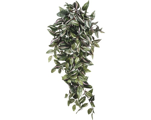 Tradescantia artificială cu frunze verzi și albe. Tradescantia artificială cu frunze verzi și albe.