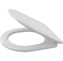 Scaun de toaletă standard din plastic