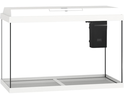 Acvariu din sticlă albă cu filtru