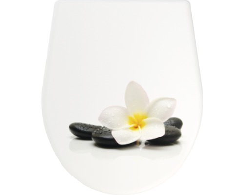 Imagine decorativă cu o floare albă și pietre negre