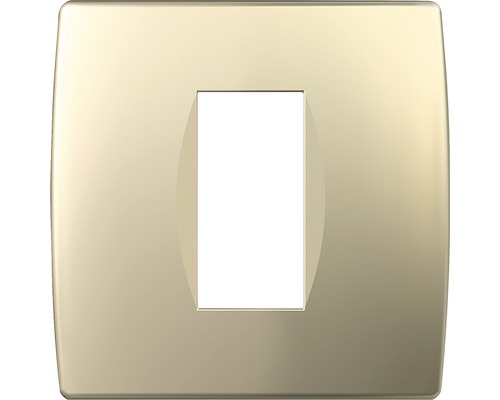 Ramă aparataje TEM Soft 1 modul, auriu