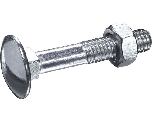 Șuruburi metrice cu cap bombat torbant și piuliță Dresselhaus 5x80 mm DIN603 oțel zincat, 100 bucăți Șuruburi metrice cu cap bombat torbant și piuliță Dresselhaus 5x80 mm DIN603 oțel zincat, 100 bucăți