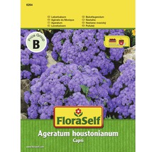 FloraSelf semințe de plante "Ageratum houstonianum"-thumb-1