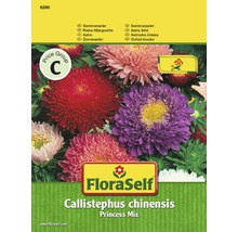 FloraSelf semințe de flori mix ochiul boului "Callistephus chinensis" Princess-thumb-0