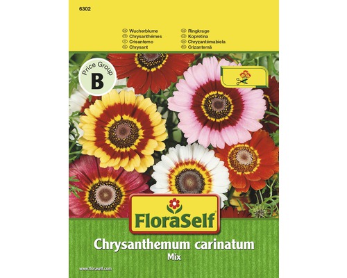 FloraSelf semințe de flori mix de crizanteme "Chrysanthemum carinatum"