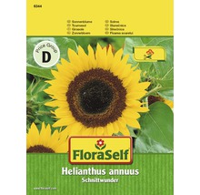 FloraSelf semințe de floarea soarelui Schnittwunder-thumb-0