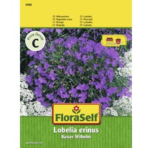 FloraSelf semințe de lobelia Kaiser Wilhelm-thumb-0