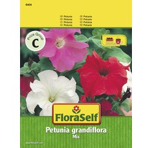 FloraSelf semințe de flori mix petunii "Petunia grandiflora"-thumb-0
