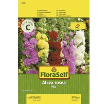 FloraSelf semințe de nalbă-de-grădină mix "Alcea rosea"-thumb-0