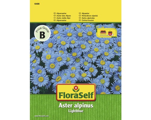 FloraSelf semințe de flori Ochiul boului "Aster alpinus"-0