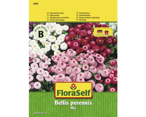 FloraSelf semințe de părăluțe "Bellis perennis"