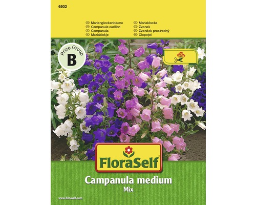 FloraSelf semințe de clopoței "Campanula medium"