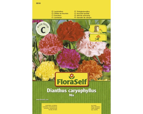 FloraSelf semințe de garoafe de grădină "Dianthus caryophyllus"