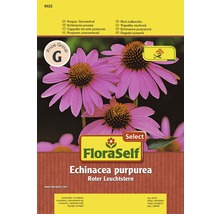 FloraSelf semințe de "Echinacea purpurea"-thumb-0