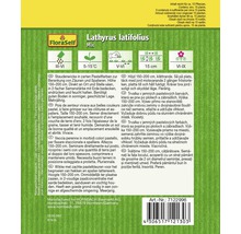 FloraSelf semințe de măzăriche mix "Lathyrus latifolius"-thumb-1