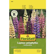 FloraSelf semințe de lupin pitic "Lupinus polyphyllus"-thumb-0