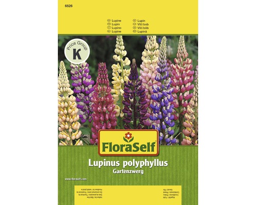 FloraSelf semințe de lupin pitic "Lupinus polyphyllus"