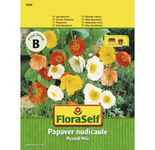 FloraSelf semințe de mac Islanda pastel-mix "Papaver nudicaule"-thumb-0