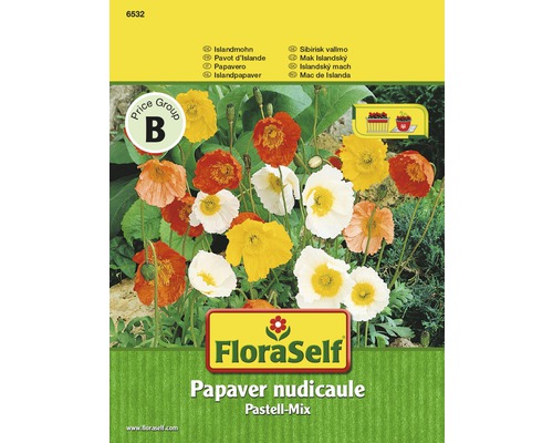 FloraSelf semințe de mac Islanda pastel-mix "Papaver nudicaule"-0
