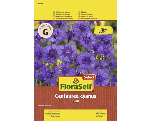Semințe de albăstrele sălbatice FloraSelf Select "Centaurea cyanus"
