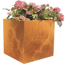 Jardinieră metalică pătrată cu plante