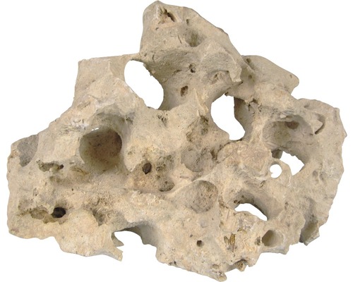 Rocă perforată pentru acvarii