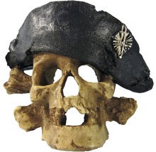 Decorațiune acvariu cap de mort, mediu