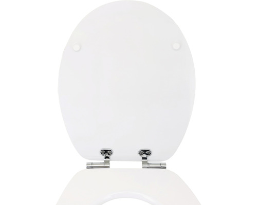 Capac WC din ceramică sanitară