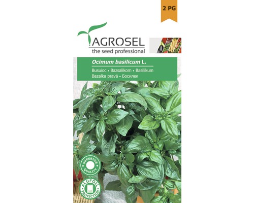 Semințe de busuioc PG2 Agrosel