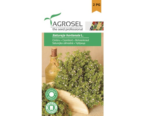 Semințe de cimbru Common PG2 Agrosel