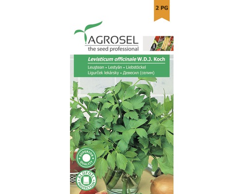 Semințe de leuștean PG2 Agrosel