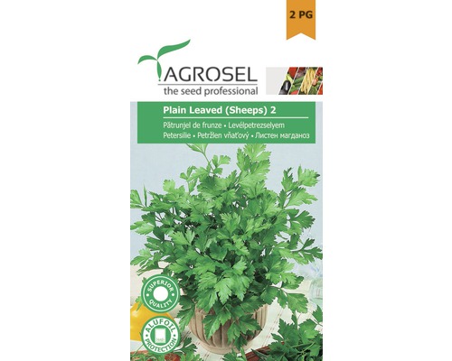 Semințe de pătrunjel frunze PG2 Agrosel