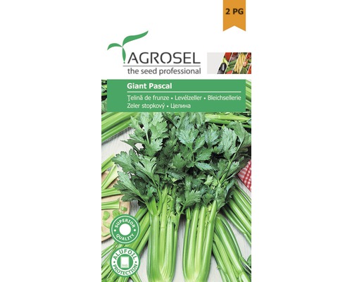 Semințe legume Agrosel țelină frunze Pascal Giant PG2
