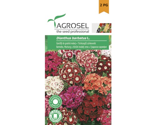 Semințe flori Agrosel garofiță de grădină PG2