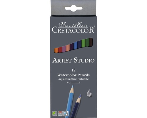 Set 12 creioane acuarelabile Artist Studio