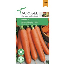 Semințe legume Agrosel morcov Nantes PG2-thumb-0
