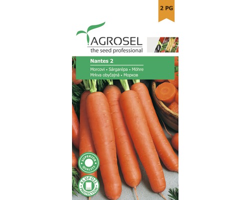 Semințe legume Agrosel morcov Nantes PG2-0