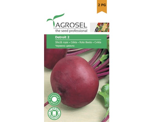 Semințe legume Agrosel sfeclă roșie Detroit PG2