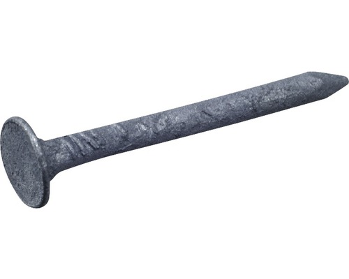 Cuie pentru acoperiș Dresselhaus 2x10 mm oțel zincat, pachet 1kg Un singur cui de oțel cu cap.