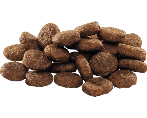 Grămadă de hrană uscată pentru câini