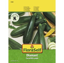 Floraself dovlecel 'Diamant' verde-thumb-1